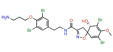 Hexadellin B